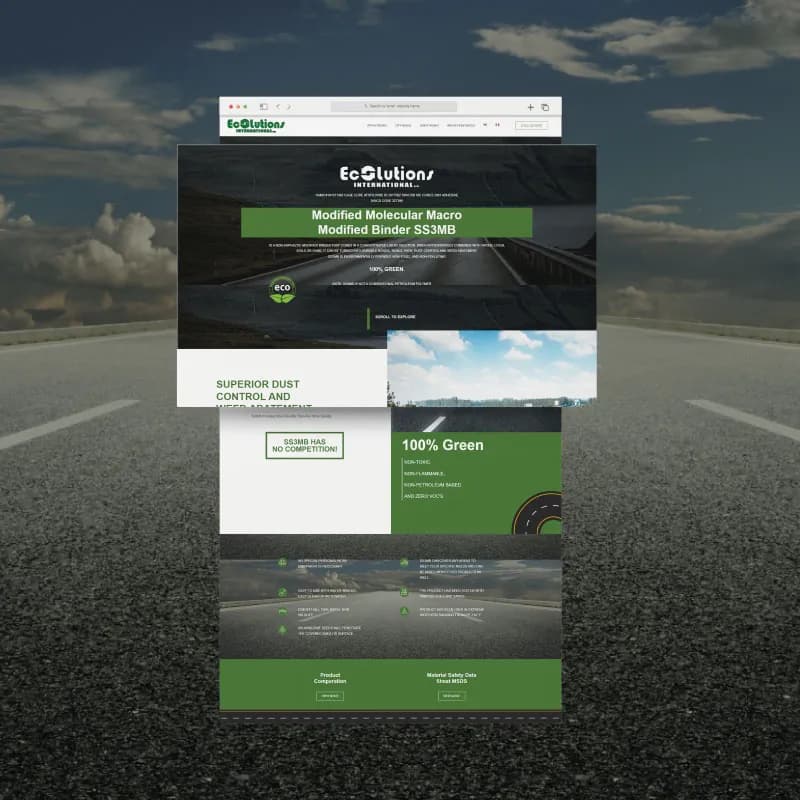 Proyecto Ecolutions International