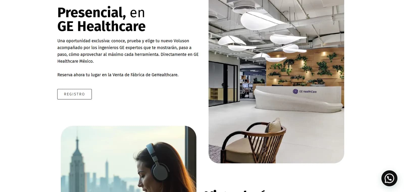 Captura de pantalla del sitio de venta GE Healthcare