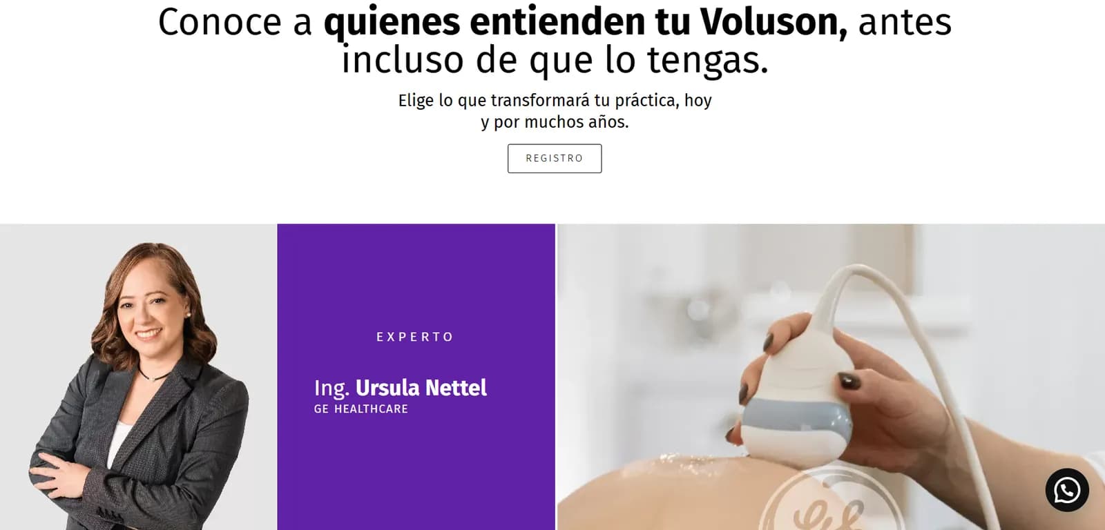 Captura de pantalla del sitio de venta GE Healthcare
