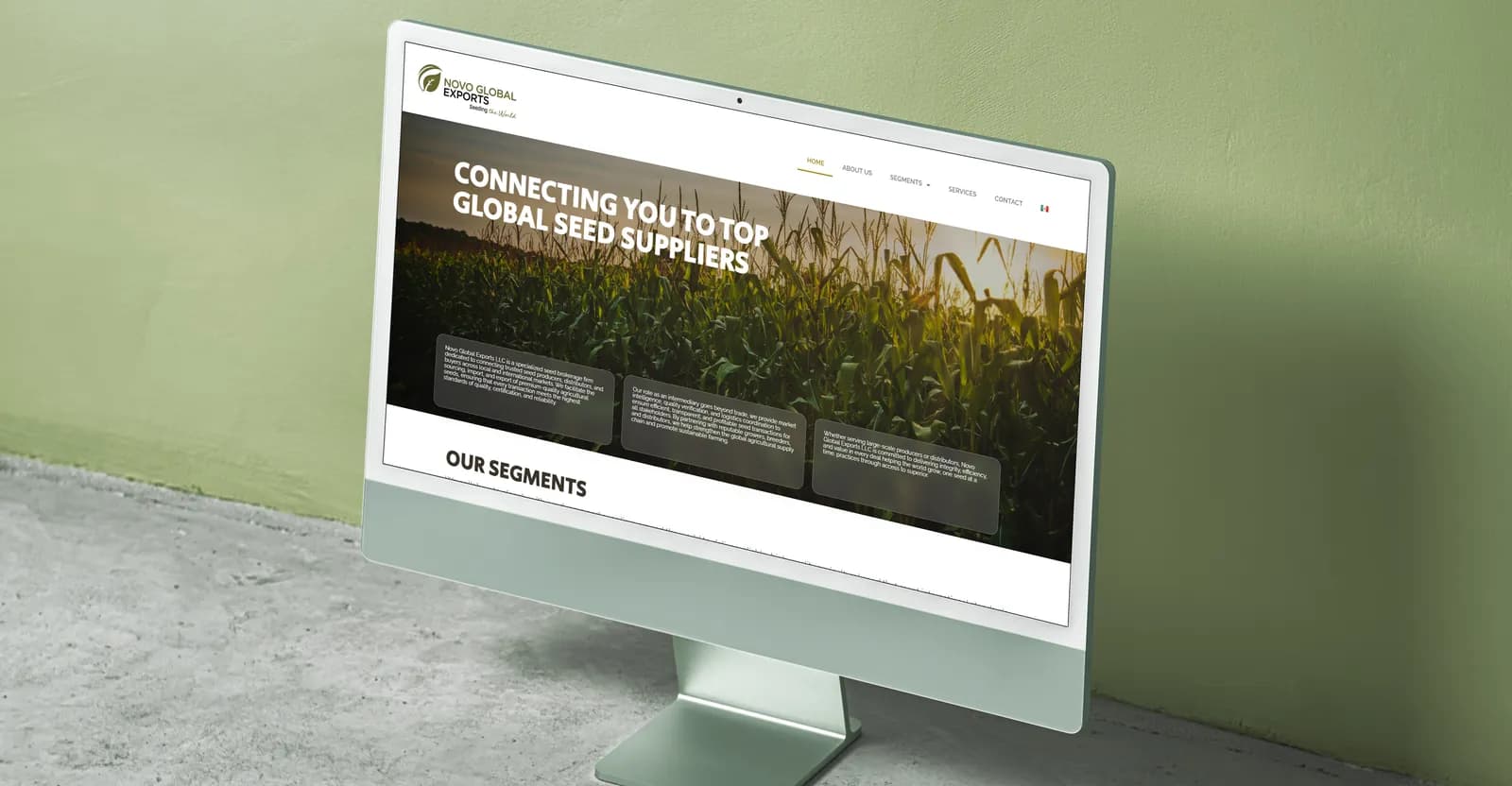 Sitio de Novo Global Exports en monitor