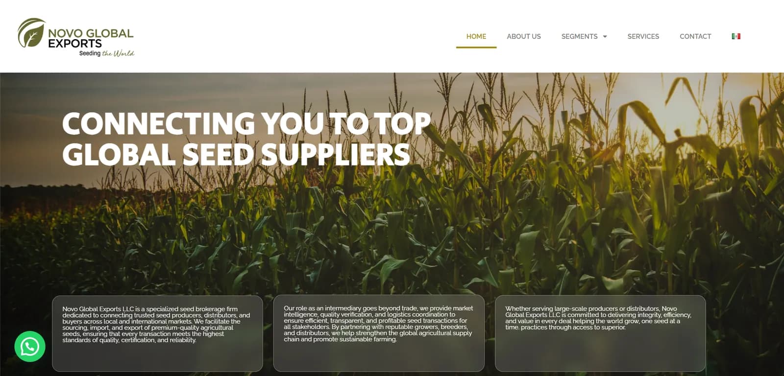 Captura de pantalla del sitio de Novo Global Exports