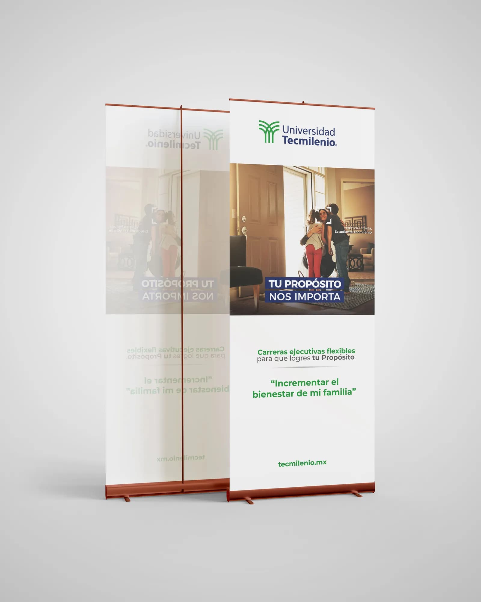 Proyecto Tec Milenio