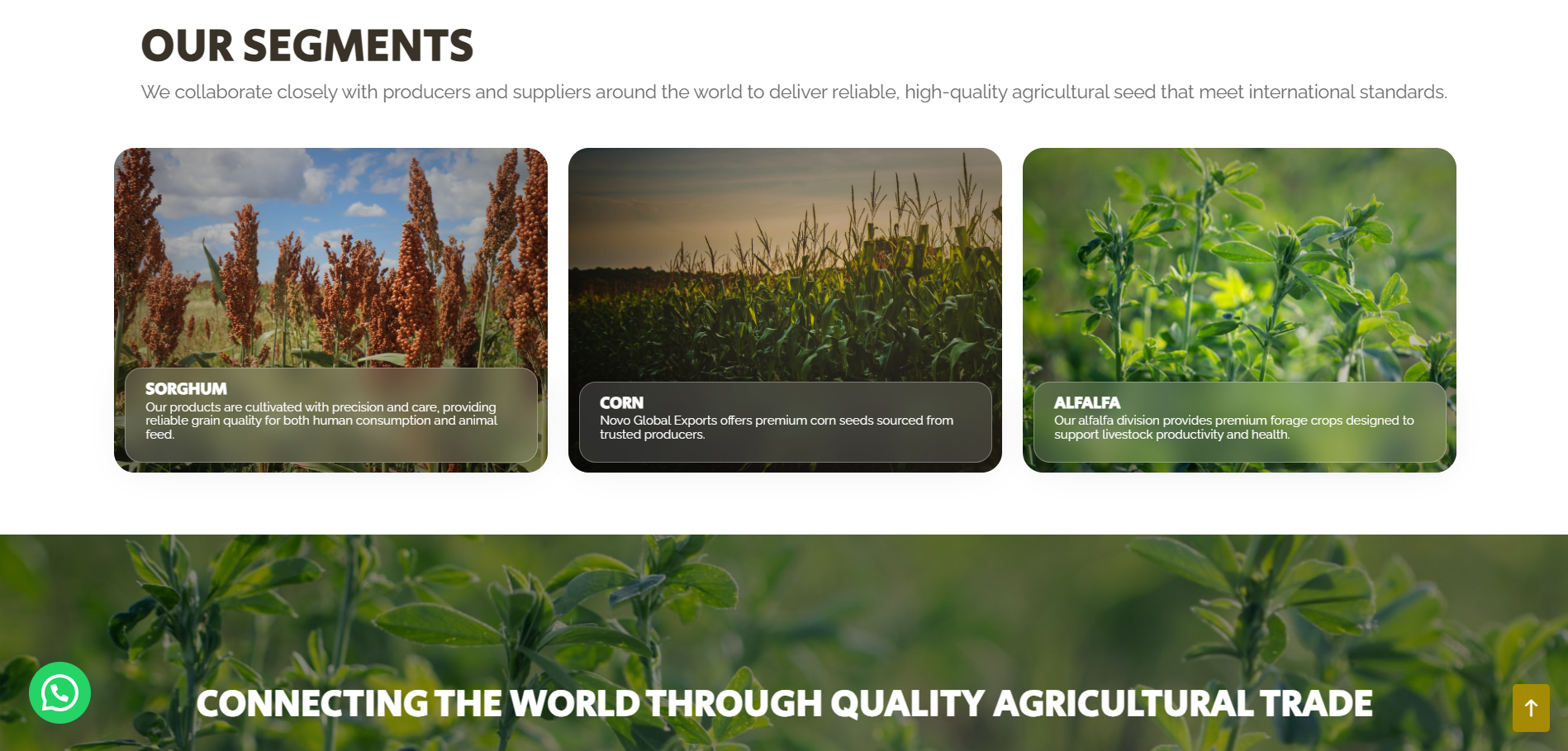 Captura de pantalla 2026-02-03 113041