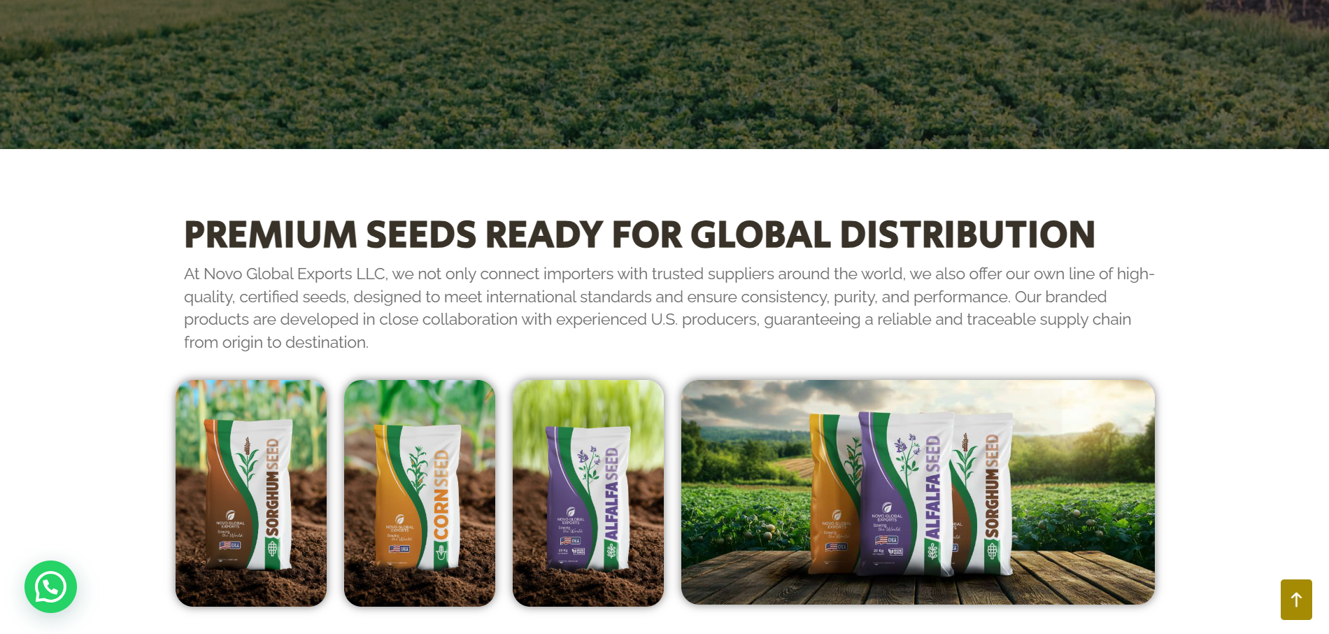 Captura de pantalla 2026-02-03 113136